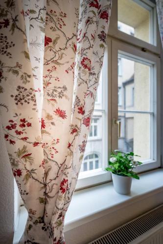 a window with a curtain and a plant on a window sill at Ruben's Apartments in Stuttgart