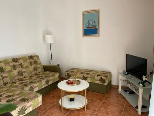 TV a/nebo společenská místnost v ubytování Apartments Ivanišević