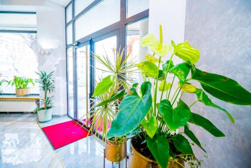 Fotografie z fotogalerie ubytování Guci Hotel v destinaci Constanţa