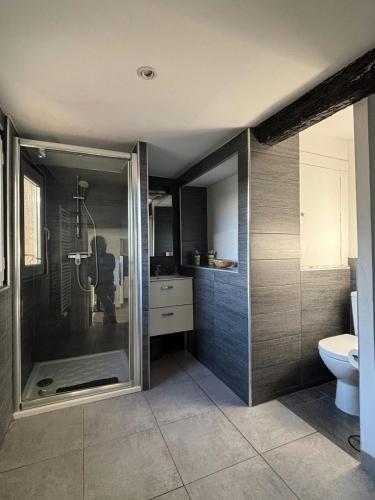 une salle de bain avec douche et toilettes dans l'établissement F2 Toits Ecusson 4 pers. Eglise St Anne 5 min Com, à Montpellier