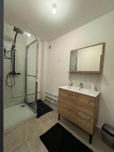 une salle de bain avec une douche, un lavabo et un miroir dans l'établissement Superbe Appart de 4 Chambres, Moderne et Spacieux, à Wattignies
