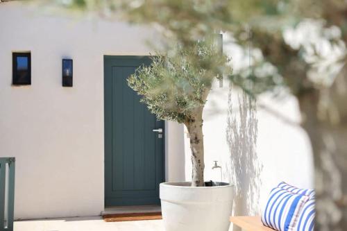 un pot dans un pot blanc devant une porte dans l'établissement Villa 32 l Sport Court & Pool l Shellter Rentals, à Sainte-Maxime