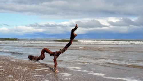 a statue on the beach with the ocean in the background at Fischstübchen Neeberg Fewo 4 – Schwalbennest in Krummin