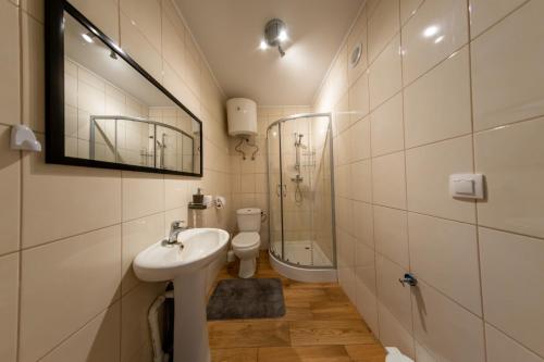 a bathroom with a sink and a toilet and a mirror at Kociewska Polana - domki nad jeziorem in Sulnówko