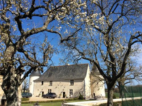 une maison blanche avec des arbres devant dans l'établissement Unique outbuildings of a medieval Loire castle, à Marçay