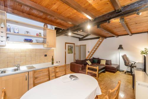 Planetrovinj apartments