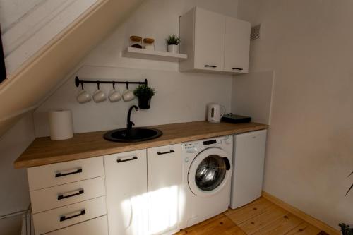 a kitchen with a washing machine and a sink at Parka ielas apartamenti in Alūksne