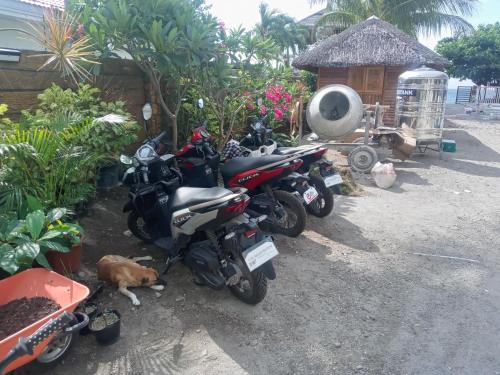 Gallery image of Apo Tropica Resort in Zamboanguita