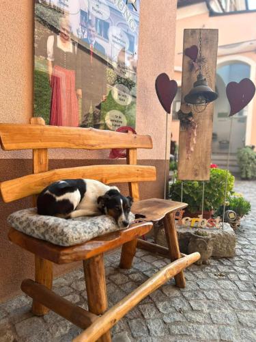 a dog sleeping on a wooden bench on a sidewalk at Gästezimmer Frühwirth in Teesdorf