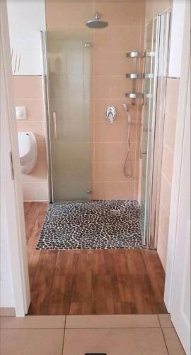 a bathroom with a shower with a glass door at Ferienwohnung Brückenblick 85112 in Ostrhauderfehn