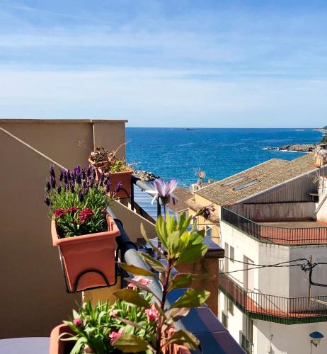 Imagen de la galería de Hotel Medium Montecarlo, en Llafranc
