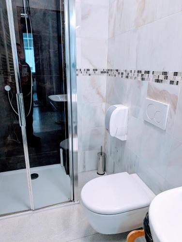 a bathroom with a toilet and a shower at Gardar in Bolzano