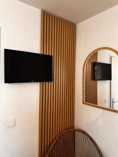 a room with a television on a wall with a mirror at Les Jardins de Rastel Studio in Lyon