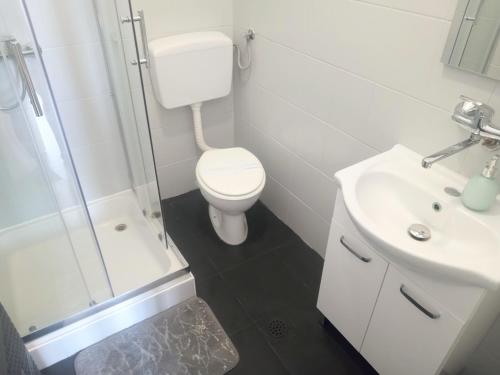 a bathroom with a toilet and a shower and a sink at Apartman Petra in Senj