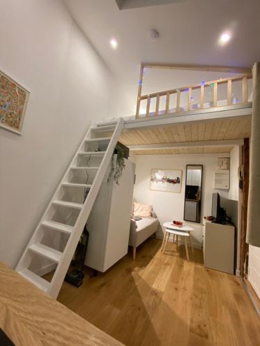 un lit en mezzanine dans un salon avec un escalier dans l'établissement Studio cosy hypercentre de Toulouse, à Toulouse