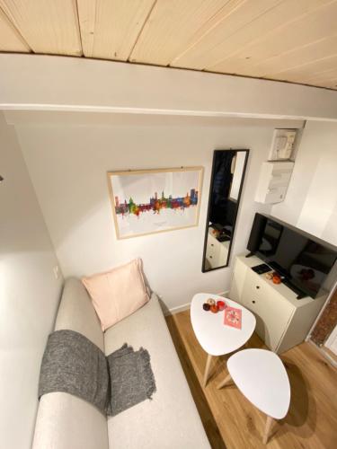 Elle comprend un petit salon doté d'un canapé et d'une télévision. dans l'établissement Studio cosy hypercentre de Toulouse, à Toulouse