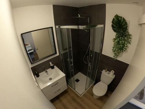 une salle de bain avec une douche, des toilettes et un lavabo dans l'établissement La villa baie du lac les pins, à Biscarrosse