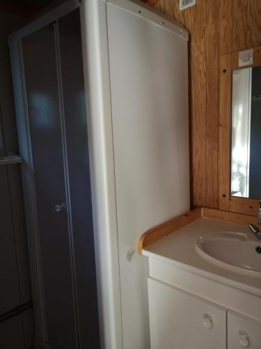 une salle de bain avec un lavabo et un miroir dans l'établissement Camping Le Fou du Roi, à Lansargues