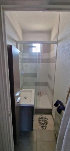 La petite salle de bains est pourvue d'une douche et d'un lavabo. dans l'établissement Appartement Le Belvédère, à Lalouvesc
