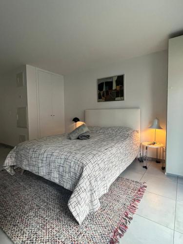 une chambre avec un lit et un tapis dans l'établissement Studio proche du centre ville et du Parlement Européen, à Schiltigheim