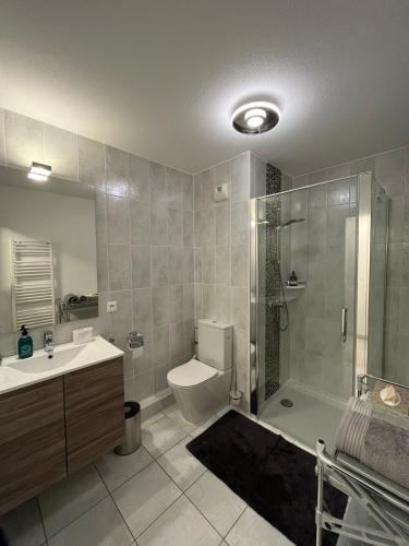 une salle de bain avec une douche, des toilettes et un lavabo dans l'établissement Studio proche du centre ville et du Parlement Européen, à Schiltigheim