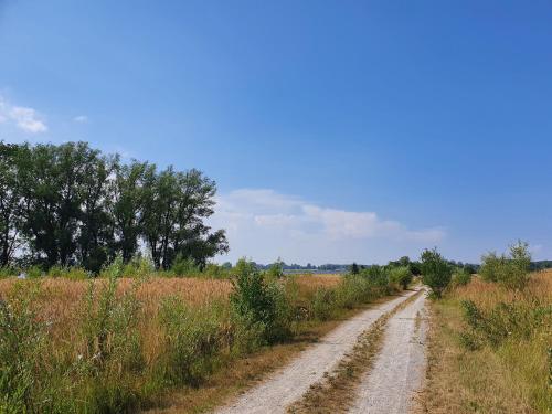 a dirt road in the middle of a field at Ferienhaus In Mellnitz Mit Großem Garten in Poseritz
