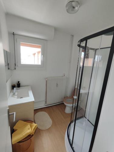 une salle de bain avec une douche, un lavabo et des toilettes dans l'établissement Loge Secrète, à Belfort