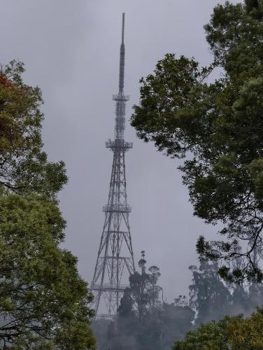 a tall tower in the middle of some trees at Bruton resorts in Kodaikānāl