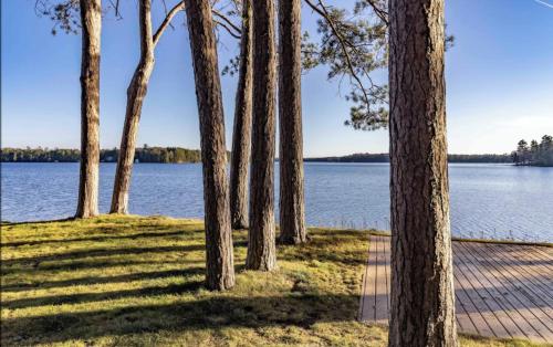 a row of trees next to a body of water at The Pines of Three Lakes in Eagle River
