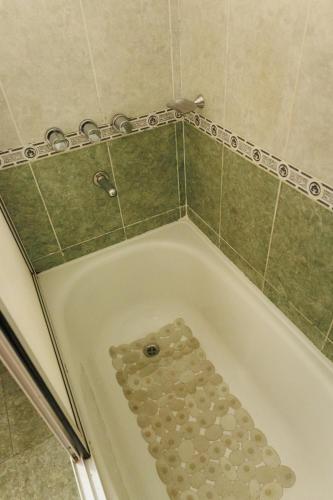 a bath tub filled with lots of rocks at Hotel Petit Cordoba in Córdoba