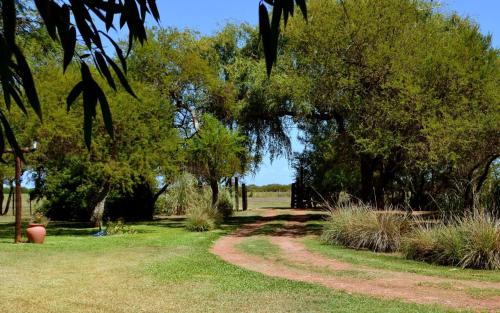a dirt road in a field with trees and grass at Valdemoro Hosteria in Gualeguaychú
