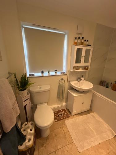 ein Badezimmer mit Toilette und Waschbecken in der Unterkunft Cluaine Meala cottage in Isleworth