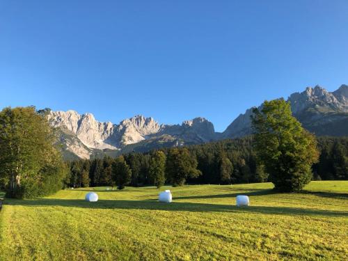 a field with trees and mountains in the background at HAHNENKAMM SUITE Ski-in Ski-out direkt an der Hahnenkammbahn in Kitzbühel