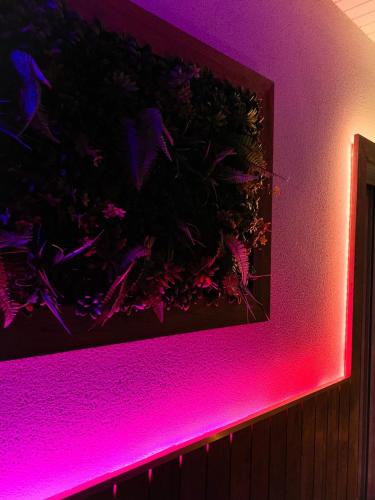 a wall with a pink light on it at Le Cocon Rose Jacuzzi privé rêve et Douceur in Belin-Beliet