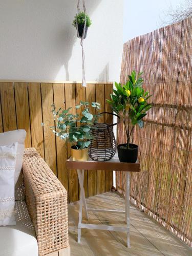 a table with plants on it next to a fence at Le Cocon Rose Jacuzzi privé rêve et Douceur in Belin-Beliet