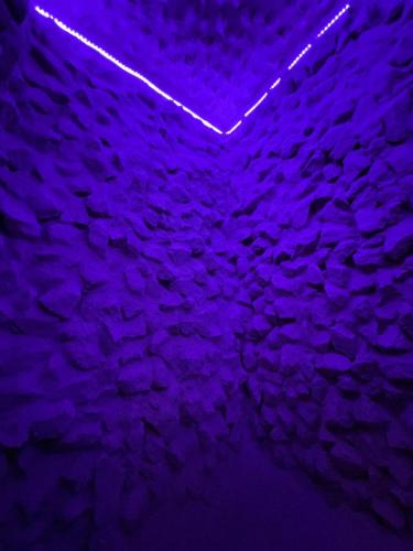 a purple wall with a neon sign on it at Pastravaria Zavoi in Valea Danului