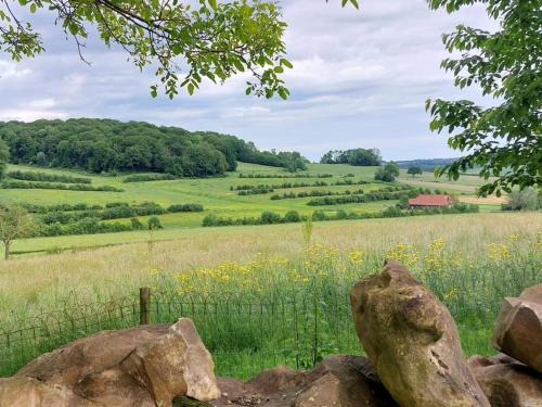 a view of a field with rocks and flowers at B&B Vouwere in Mechelen