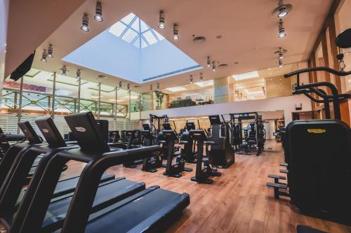 a gym with rows of treadmills and ellipticals at Divani Apollon Palace & Thalasso in Athens