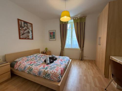 une chambre avec un chien allongé sur un lit dans l'établissement Escale Belfortaine - Spacieux - Résidence privée, à Belfort