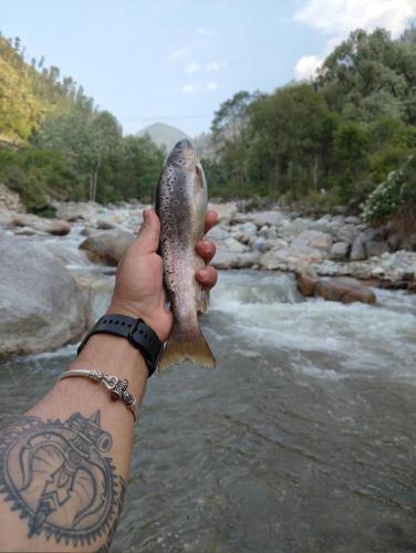 a person holding a fish in a river at Tirthan Majestic View Homestay in Gushaini