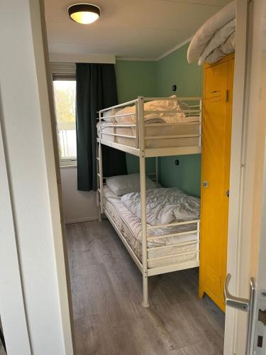 a room with two bunk beds and a window at Veluwse Vlucht in Putten