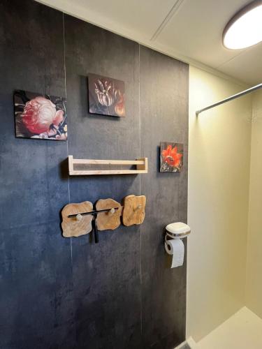 a bathroom with a toilet and paintings on the wall at Veluwse Vlucht in Putten