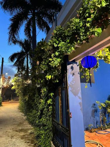 Taman di luar 1 Stop Hoi An Villa