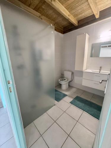 a bathroom with a toilet and a glass shower door at Villa Mamour in Case-Pilote