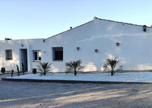 a white building with palm trees in front of it at Casa de las Murallas, Bed&Breakfast in Yecla