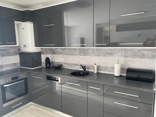 a kitchen with stainless steel cabinets and a sink at Vera's Apartment in Timişoara