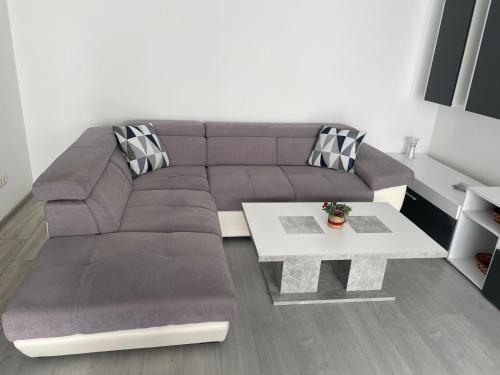 a living room with a couch and a table at Vera's Apartment in Timişoara