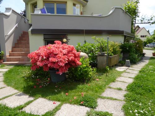 a house with red flowers in a yard at Studio Rouffach in Rouffach