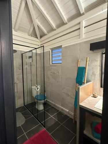 a bathroom with a toilet and a glass shower at Au Bel'vue chez Sandrine "Gite & Chambre d'hôtes" in Le Moule