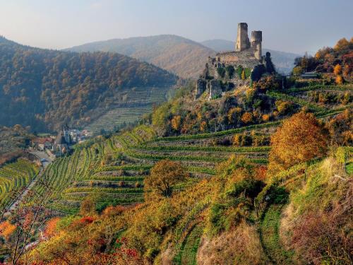 a hillside with a castle on top of it at Ferienwohnung Weinbergblick in Oberrohrendorf